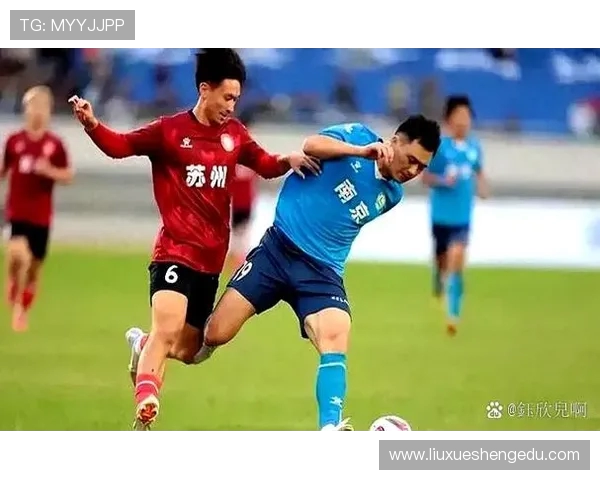 南京足球队实力对比深度解析与未来发展展望