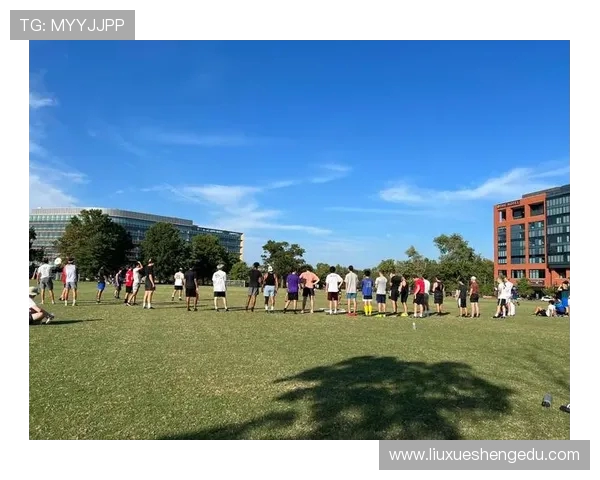 独家解析北京飞盘队比赛经验与其他队伍的差异与启示