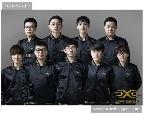 王者荣耀技术排行榜最新出炉RNG战队强势领跑前十名解析