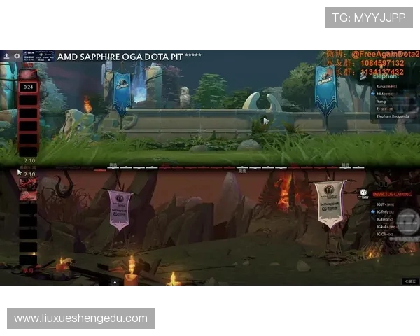 DOTA2专题：深入分析IG战队的比赛策略与经验分享